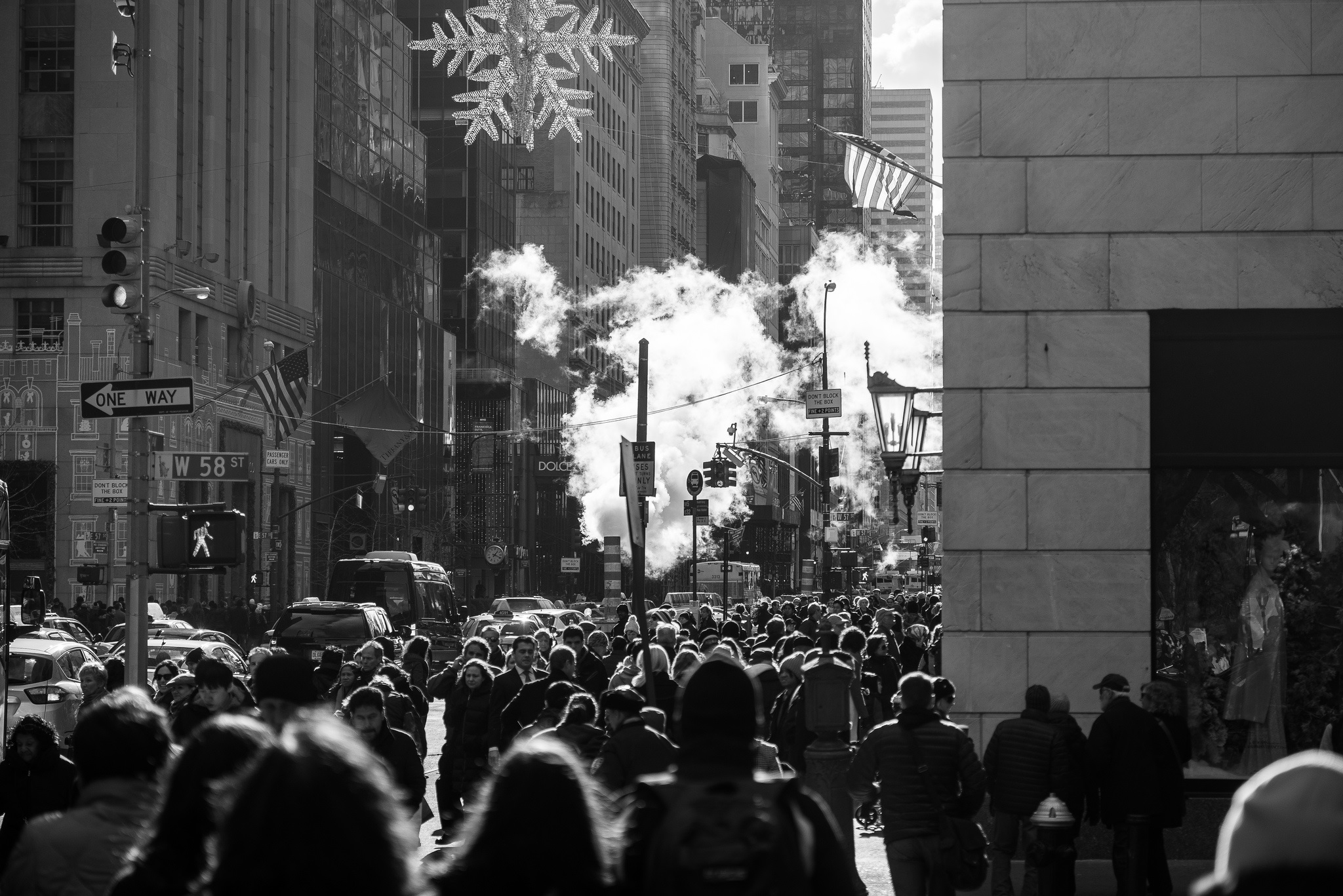 Frank Tasche-Black Friday @5th Ave