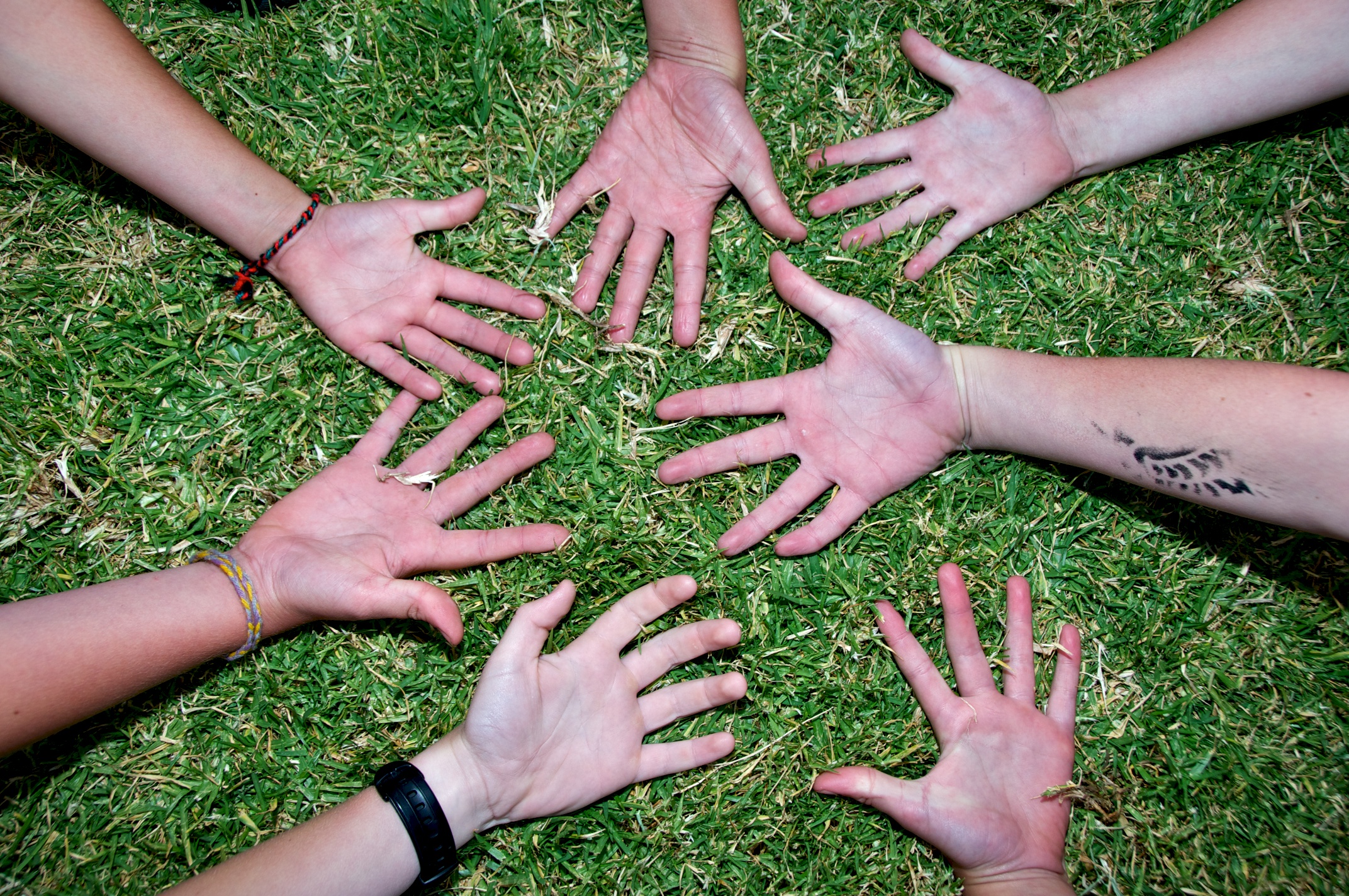 Eastop-Children’s Hands 2 (1)