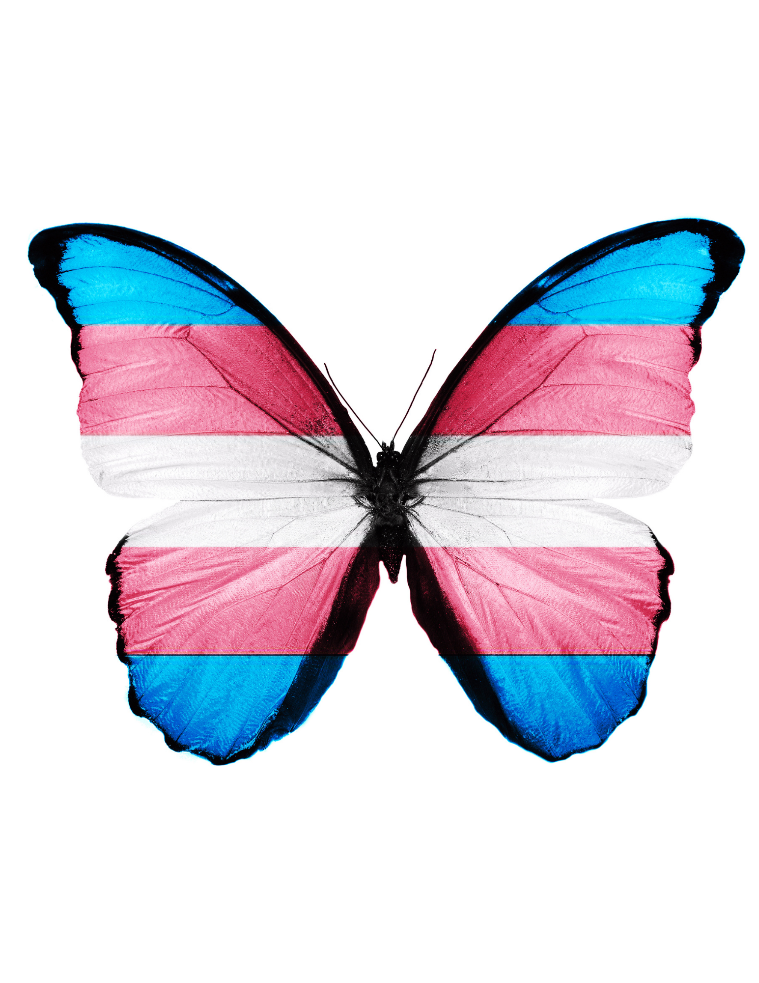 Trans femme group ( Wed.night) (1)